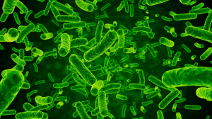 Scientists Discover 1.5 Billion-Year-Old “Giant” Viruses In Yellowstone