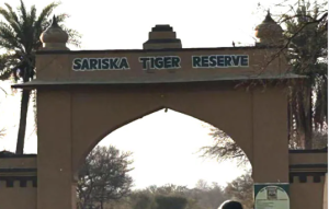 Sariska Tiger Reserve: Supreme Court Orders Mine Closures