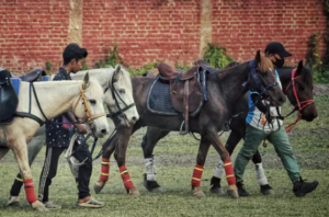 Manipur Takes Steps To Save Endangered Meitei Ponies