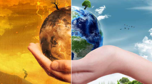Over 90% Indians Want Green Policies, Climate Action