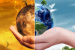 Over 90% Indians Want Green Policies, Climate Action