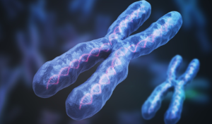 X chromosome Revival Raises the Risk of Autoimmune Disease in Older Women