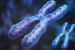 X chromosome Revival Raises the Risk of Autoimmune Disease in Older Women