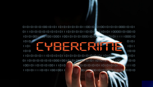 Government sets up Committee to tackle Southeast Asian Cybercrimes