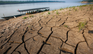 Amazon Rainforest Facing Critical Recovery Challenges