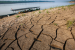 Amazon Rainforest Facing Critical Recovery Challenges
