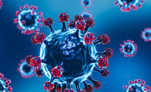 IAV Develops Safe Nipah Virus-Like Particles for Research