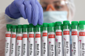 First Human Dies From H5N2 Bird Flu in Mexico