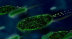Arctic Ice Giant Viruses May Slow Melting by Eating Algae