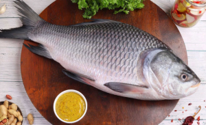 Catla Among Top 10 Harvested Aquatic Species in 2022