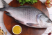 Catla Among Top 10 Harvested Aquatic Species in 2022