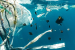 Why Do Southeast Asians Consume Most Microplastics?