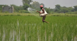 Why Is India a Leading Nitrous Oxide Emitter?