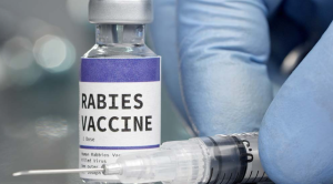 Gavi Supports Rabies Vaccines for Global Eradication Efforts