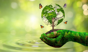 Is India Making Progress in Environmental Performance Index?