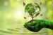 Is India Making Progress in Environmental Performance Index?