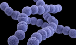 Japan On High Alert as STSS Infections Surge