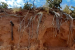 World’s Oldest Termite Mounds Discovered in Namaqualand