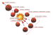 How Advances in Plutonium Fission Impact India?