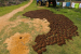 Uttar Pradesh Leads India in Compressed Biogas Production