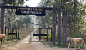 Pench Tiger Reserve Launches First AI Fire Detection System
