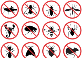 Researchers Develop Anti-Insecticide Fabric That Neutralizes Pesticides