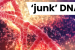 What is ‘junk’ DNA? – Current Updates (July, 2024)