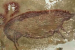 World’s Oldest Cave Painting Discovered in Indonesia