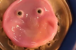 Japanese Scientists Create Smiling Robots Using Living Skin
