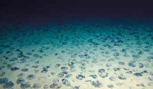 Researchers Discover ‘Dark Oxygen’ Production on Seafloor