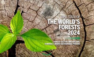 The State of the World’s Forests 2024 Report