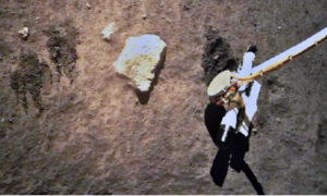Chinese Lunar Probe Finds Water Traces in Moon Soil