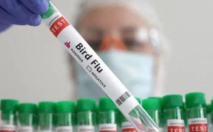 WHO Launches Project to Develop H5N1 Vaccines Using mRNA