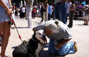 Turkey Parliament Approves Controversial Stray Dog Euthanasia Law