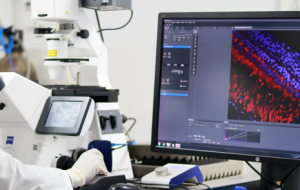 India’s Scientists Develop Enhanced DNA-Editing System