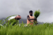India Retains Eighth Position in Global Agricultural Exports
