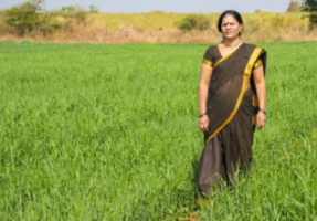 Jharkhand’s Mukhyamantri Maiya Samman Yojana – Recent Updates