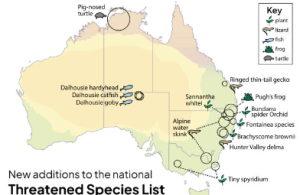 Australia Adds 13 Species to Threatened List Amid Crisis