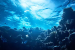 India Names Three Underwater Structures in Indian Ocean