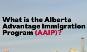 What is Alberta Advantage Immigration Program?