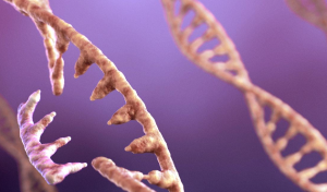 New Zealand Proposes Legislation to Modernize Gene Technology Laws