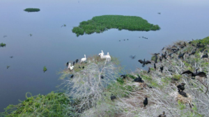 India Adds Three New Wetlands to Its Ramsar List
