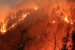 Central India Forests Face High Fire Risk, Study Warns