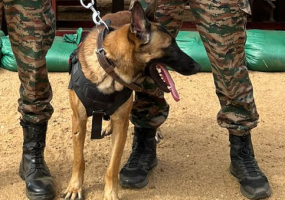 India, Sri Lanka Deploy K9s in Exercise Mitra Shakti
