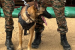 India, Sri Lanka Deploy K9s in Exercise Mitra Shakti