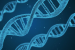 Researchers Develop Miniature CRISPR Tool for Plant Genome Editing