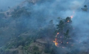 Madeira Wildfires Devastate 5,000 Hectares, Tourists Stranded