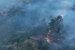 Madeira Wildfires Devastate 5,000 Hectares, Tourists Stranded
