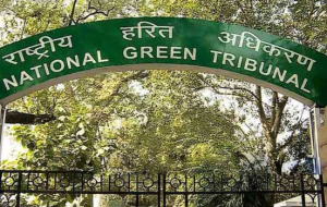 NGT Imposes ₹1,000 Crore Fine on Punjab Government