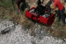 Greece Declares Emergency over Massive Flood of Dead Fish